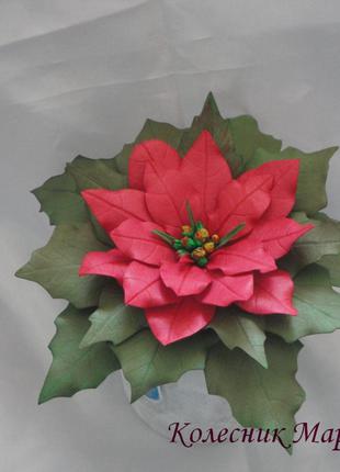 Рождественский цветок Пуансеттия (основа на выбор)
