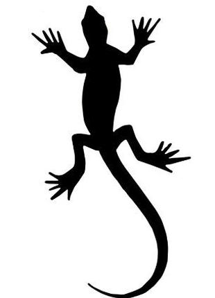 Флеш тату Gecko переводная-временная татуировка, водостойкая