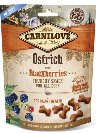 Ласощі для собак Carnilove Ostrich with Blackberries з м'ясом ...