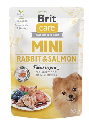 Вологий корм Brit Care Mini Rabbit and Salmon для собак дрібни...