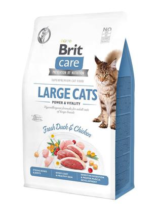 Сухий корм для котів великих порід Brit Care Cat GF Large cats...