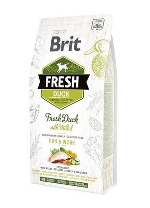 Brit Fresh Duck with Millet Adult сухий корм для дорослих соба...