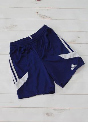 Шорты от adidas climalite есть замеры