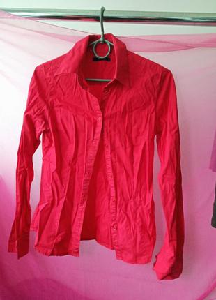 Блузка рубашка красного цвета sasch