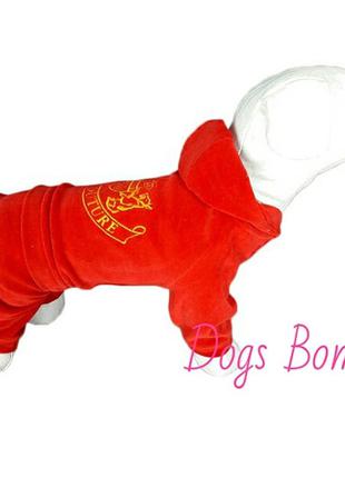 Велюровый костюм D-7 для собак DogsBomba, 3 размер