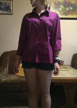 Фиолетовая рубашка gintonic