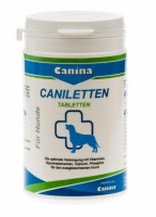 Canina Caniletten вітамінно-мінеральний комплекс для собак, 300 г