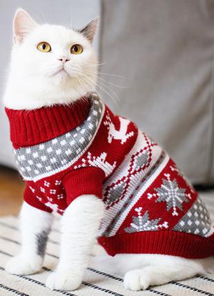 Новогодняя Одежда Для Кошек