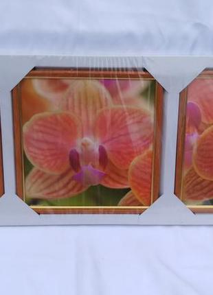 Комплект картин "орхидеи"