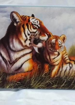 Картина репродукция на холсте "тигры"