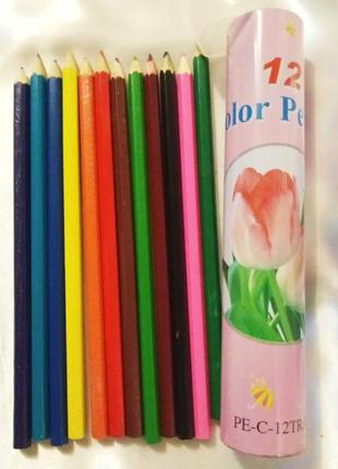 Набор цветных карандашей 12 цветов в металлическом пенале