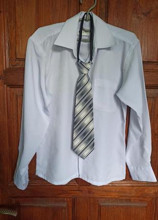 Сорочка з краваткою