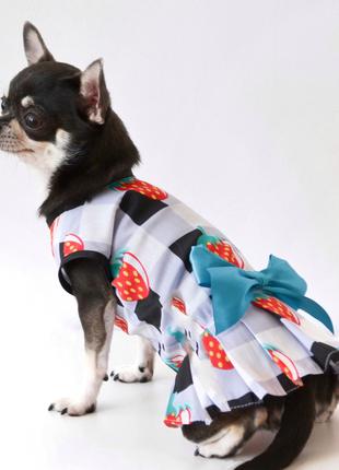 Летнее платье для собаки O-89 DogsBomba батист, модель для дев...