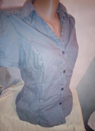 Полосатая рубашка с коротким рукавом