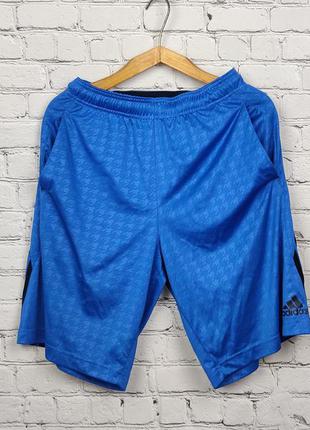 Шорты спортивные adidas climalite тренировочные синие мужские