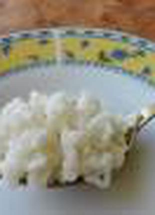 Тибетский молочный (кефирный) гриб