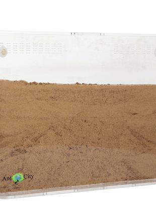 Песчаная муравьиная ферма "Эко Акрил" КОМПЛЕКТ ДЛЯ НОВИЧКА