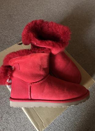 Сапоги ugg .оригинал  (253к)