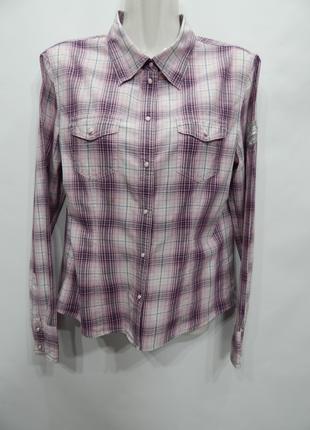 Блуза-рубашка легкая фирменная женская ESPRIT (хлопок) р.46-48...