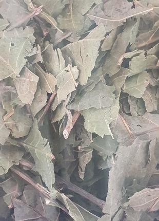 100 г грецкий орех лист сушеный (Свежий урожай) лат. Júglans r...