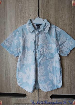 Фирменная h&m рубашка со 100% хлопка в нежно голубом цвете на ...