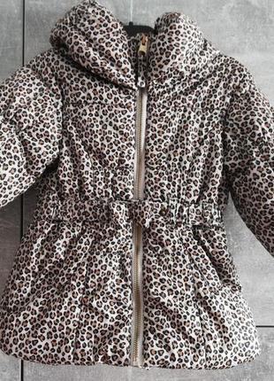 Демі Куртка на дівчинки леопардовий принт, демі сезонна курточка