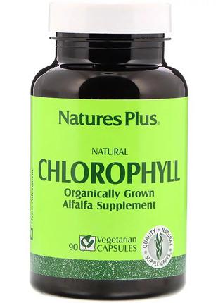 Органический Хлорофилл, Natures Plus, Natural Chlorophyll, 90 ...