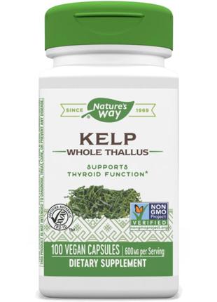 Ламінарія, Kelp, Nature's Way, 600 мг, 100 капсул