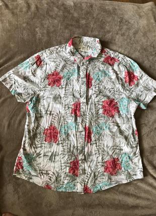 Пляжная рубашка в принт, гавайская рубашка