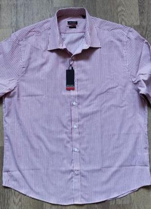 Новая рубашка Pierre Cardin, размер L/XL