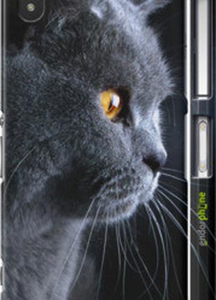 Чохол на Sony Xperia Z2 D6502/D6503 Красивий кіт "3038c-43-2448"