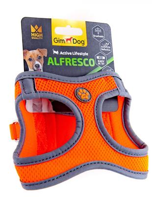 Шлейка жилет для собак GimDog Alfresco S неопрен оранжевая 37-...