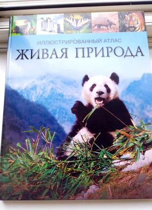 Лучший подарок - КНИГА