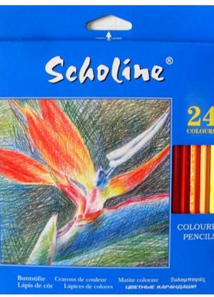 Олівці кольорові 24 кольори Scholine 1665