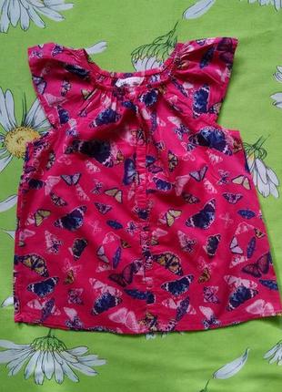 Малиновая блуза в бабочки для девочки 5-6 лет