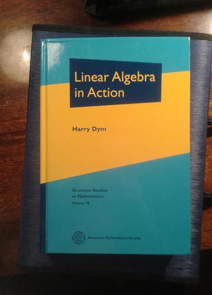 Harry dym "linear algebra in action"