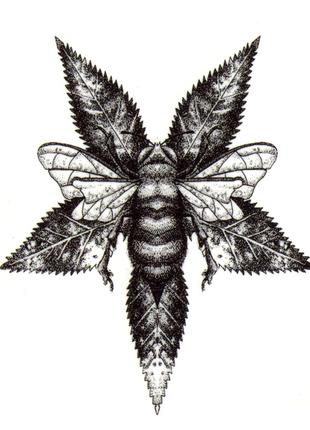 Флеш тату Пчела медовая переводная-временная татуировка, водос...