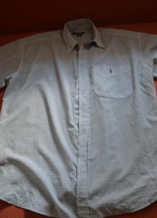 Оригинальная рубашка ralph louren(xxxl)