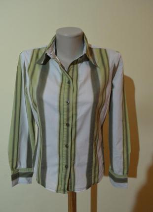 Шикарна брендовий блуза сорочка котон в смужку