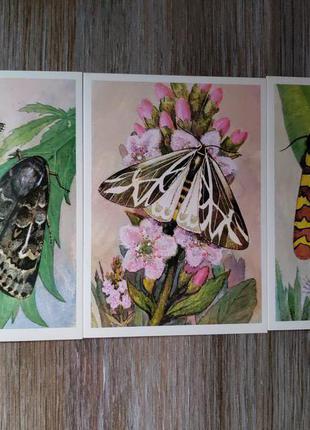 Листівки Метелики радянські упоряд.відмінне 1985 Entomology (Энто