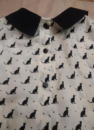 Фірмова блузка з кішками