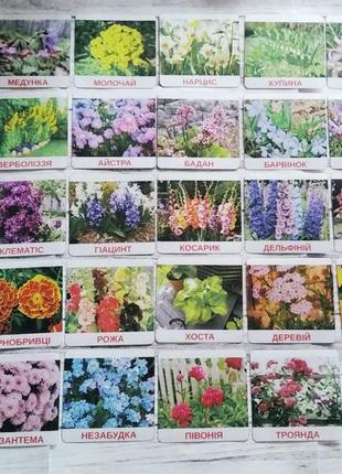 Карточки доманные садовые цветы