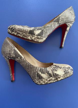 Дизайнерские туфли со змеиной кожи constantin starke new york