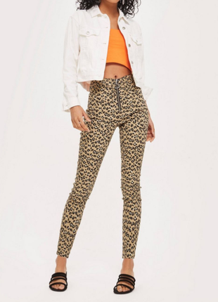 Джинси скинії леопард topshop jeans moto joni leopard print ту...