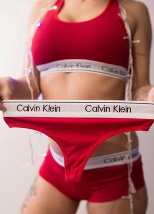 Жіночий комплект 3 в 1 топ + стрінги + шортики Calvin Klein тр...