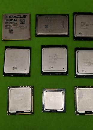Процесори Intel Xeon E5,  AMD; Oracle Spar