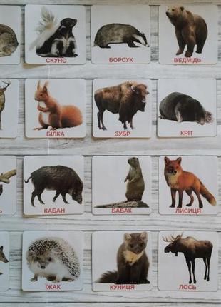 Карточки домана лісові тварини