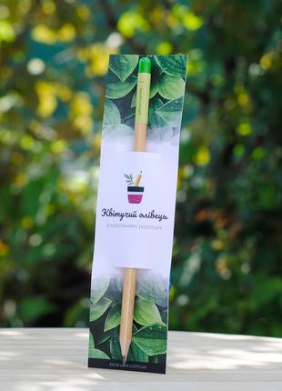 Растущий Карандаш инстаграм Екокубик Олівці з насінням рослин