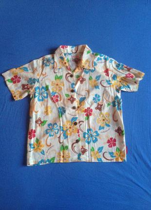 Рубашка "гавайка" mikihouse