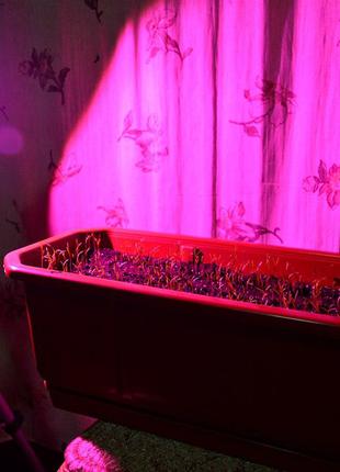 Фито прожектор 10w для растений фитолампа fito